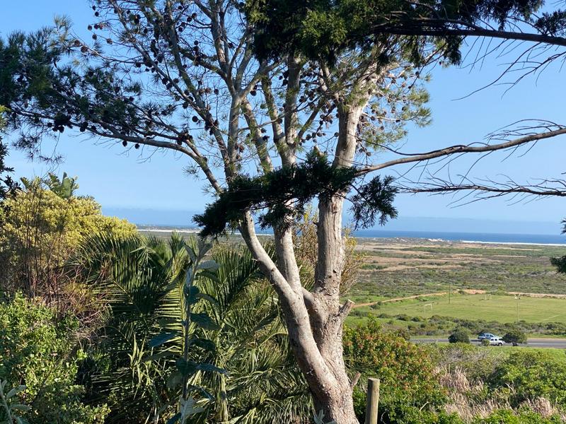 To Let 2 Bedroom Property for Rent in Crofters Valley Western Cape